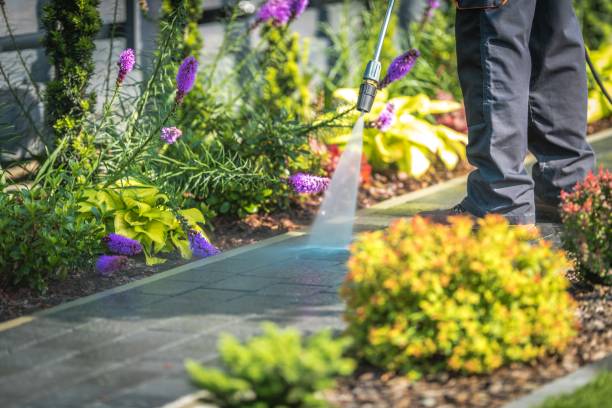 Best Pre-Holiday Cleaning  in Booneville, AR