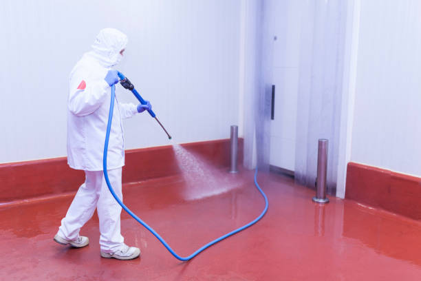 Best Solar Panel Cleaning  in Booneville, AR